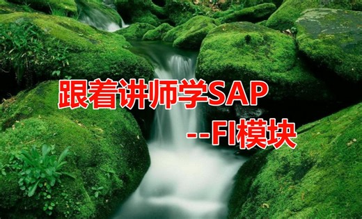 跟着讲师学SAP--FI模块 04