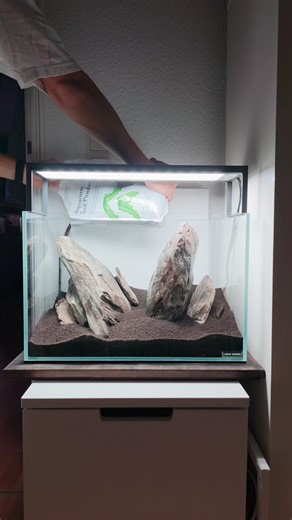KingScapeGenius on Instagram: "Today’s update on my 45 cm aquarium: I’ve just added another key element to the scape — Tropica Powder Soil on top of my existing aquasoil and rock layout, and it’s a game changer. Using @aquaristikwelt24.de Tropica Aquasoil as the base ensures solid nutrient support for all plants, while the Tropica Aquarium Soil Powder layer adds a fine-grain surface that makes planting particularly delicate carpet plants much easier and more successful. The powder’s fine grain (