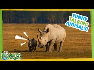 Funny Talking Animals: Baby Rhino to the Rescue! | Earth Rangers