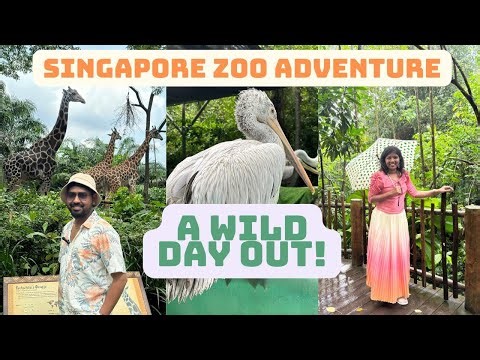 Day 2 : Singapore Zoo Experience | A Walk Into the Wild | RoamDineUnbox