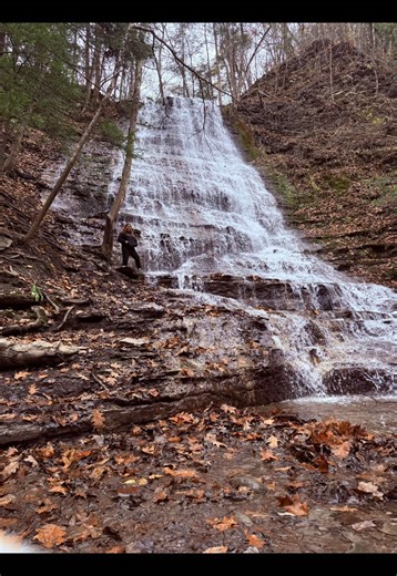 Embrace the Beauty of Fall Photography