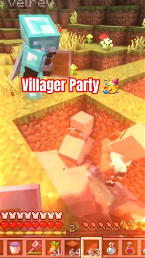 Villager Party 🥳