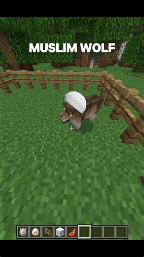 Muslim wolf 🐺 #minecraft #trending #shorts #wolf