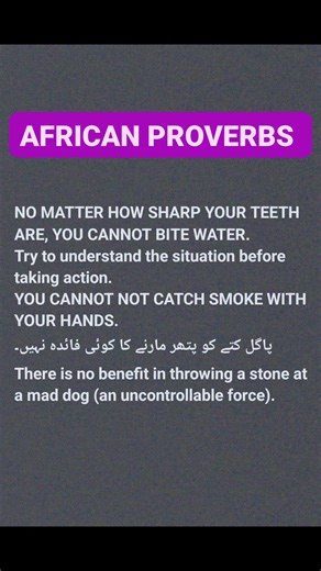 61K views · 428 reactions | #africanproverbs #ProverbOfTheDay #proverbforu #wisesayings #wisewordswednesday | Idioms & Proverbs | Facebook