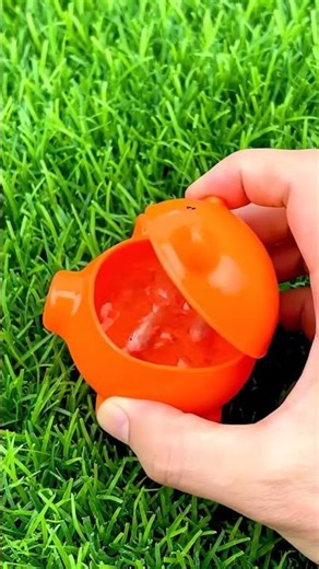 🤯 I CAUGHT TINY BABY TURTLES & GORGEOUS FISH IN MY POND! You WON'T BELIEVE WHAT'S INSIDE! 🐢🐠