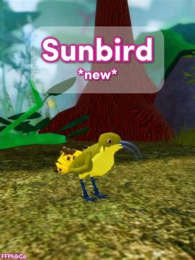 Sunbird * new * 🐦🐣 in Feather Family