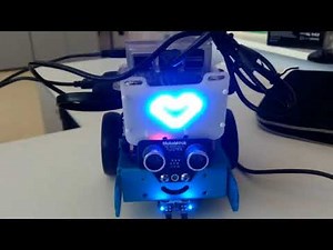 Pi-mBot: Led panel