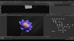 Houdini如何程序化制作花朵开放-2 Procedural Flower Tutorial
