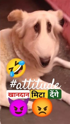 Attitude 😈😡😈