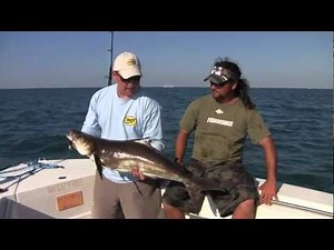 Cobia Fishing Lures (Full Hogy TV Episode)
