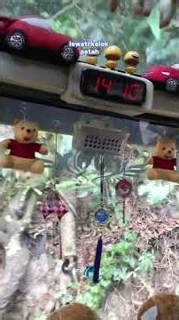 Cincu bus als 06 pesona pasaman