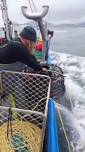 2.6M views · 4.8K reactions | Commercial Crayfishing out of Tassy | On The Deck - Footage from Australia's Commercial Fisherman | Facebook