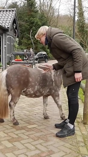 TikTok · Jesse Drent