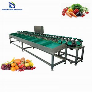 [Hot Item] Automated Mango and Apple Weight Grading Equipment