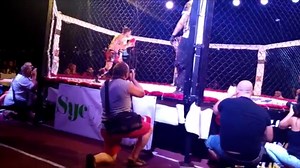 556 shares · 126 comments | Turned to stone by a nasty spinning heel kick. | MMA Knockout Art | Facebook