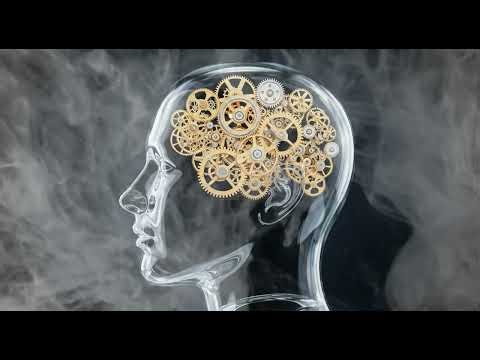 The Secret Soundtrack of Silicon Valley's Top Coders. #music for programming