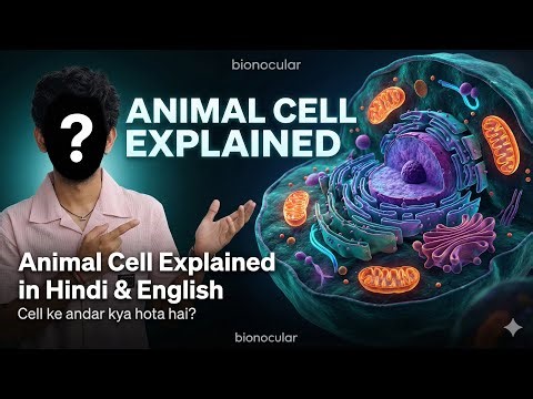 Study the Animal cell at bio- nocular . See what others can’t . #science #biology #animalcell