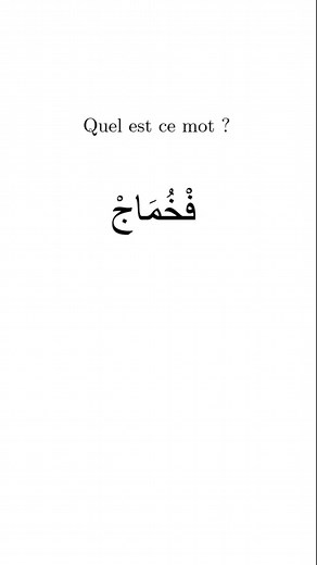 Apprendre l'Arabe: Guide Complet pour Débutants