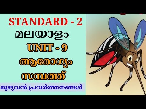 ആരോഗ്യം സമ്പത്ത് STD 2 MALAYALAM UNIT 9 | AROGYAM SAMBATH CLASS 2 MALAYALAM CHAPTER 9 ACTIVITIES