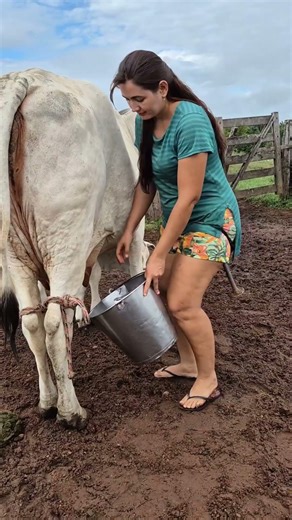 Hand Milking a Cow 🐄 | Real Village Life Experience | Fresh Milk Farming #villagelife #agro