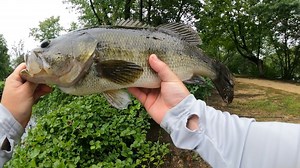 River2sea S-Waver 168