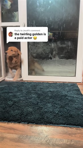 Replying to @JessR There’s nothing better in life than happy goldens and these girls most definitely are. The Muddy Mat has held up great for us which is why I share it here on TicTok, it’s a product I’ve tested and use daily. #muddymat #goldenretriever #happydogs