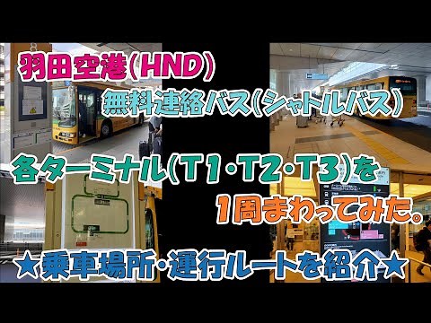 I tried moving between terminals (T1, T2, T3) on the free shuttle bus at Haneda Airport.