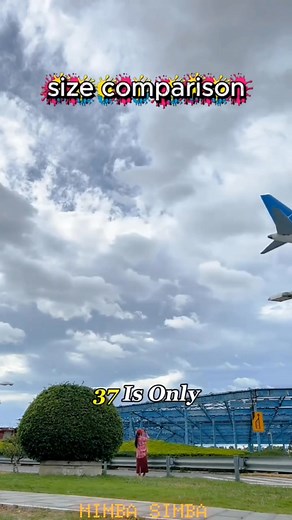 2.6K views · 27 reactions | The biggest aircraft transporter ! | Think New | Facebook
