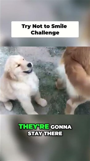 Random Madness Reloaded: The Most Unexpected Clips Ever!