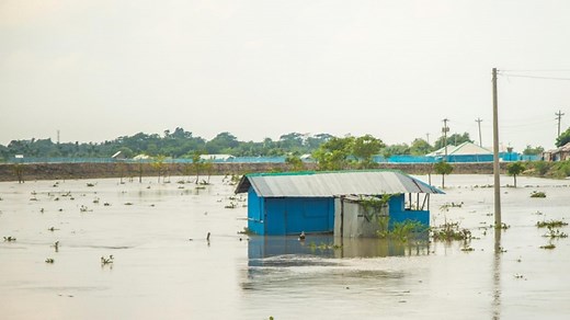 Bangladesh: Tackling Climate Change Through  Integrated Nature-Based Solutions