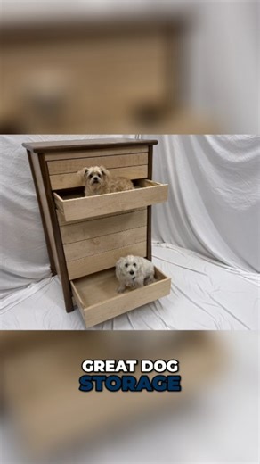 Dog storage! Watch the full build on YouTube now! Link in bio #kingsfinewoodworking #kfw #woodworking #woodshop #dresser #dogbed | King's Fine Woodworking Inc.
