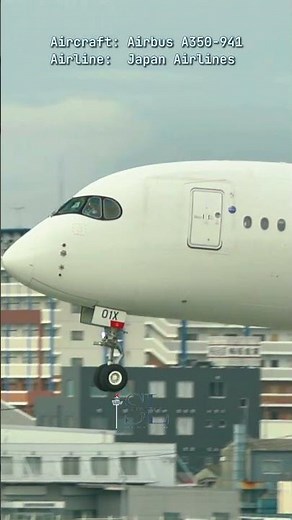 [JA01XJ] JAL A350 CloseUp Landing at Fukuoka Airport | #aviation #planespotting #closeup