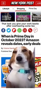 1.8K views · 21 reactions | Us when we hear there is officially a #amazonprimeday happening in October  We have all the early deals right here: https://cur.lt/ptailccys | New York Post | Facebook