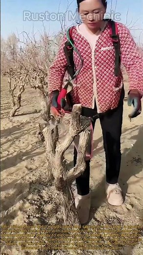 Backpack-Powered Lithium Battery Electric Pruning Shears in Action