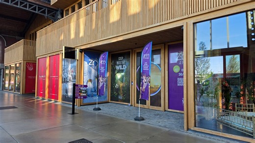 Beyond the Headset: How Layered Immersion Creates Deeper Engagement