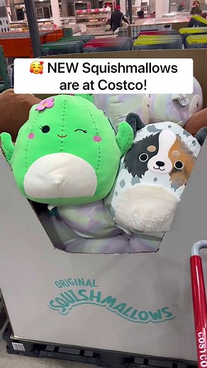 Costco Squishmallows: Meet Maritza, Raylor, Marshal, and Yareli!