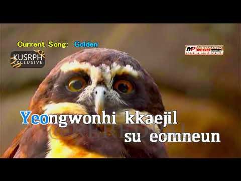 Golden - Huntrix || Megapro plus midi karaoke 