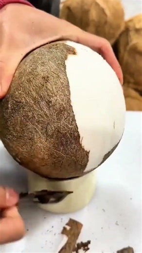 The process of manually peeling coconut shells until clean #shorts