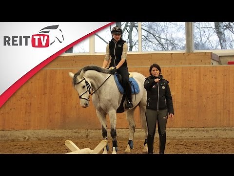 Springreiten lernen: Stangen- und Cavalettiarbeit - Elastischer Galoppieren