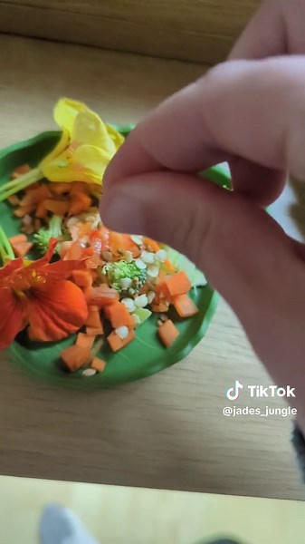 Lets make some of my pets meals! 🌺