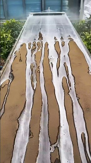 The #1 Solar Panel Cleaning Mistake You're Making