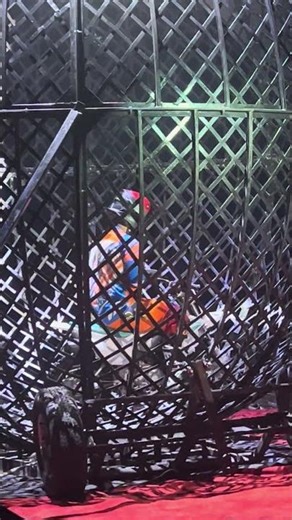 Bike riding Circus #epiccircus