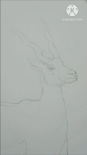 How to Draw Realistic Animals (Techniques & Tips)