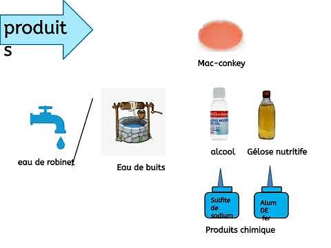 les analyses microbiologique de l'eau