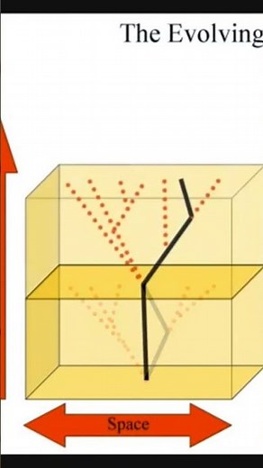 Block Universe or Dynamic Continuum