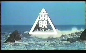 Neon Genesis Evangelion - End Of Evangelion - Video Edition - Bootleg - VHS