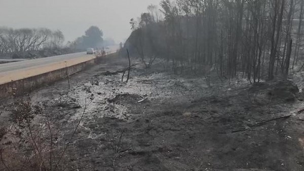 Drone footage shows aftermath of wildfires in Spain