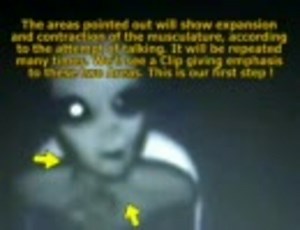 【検証映像】ブラジルで捕獲されたグレイタイプの宇宙人を検証してみた