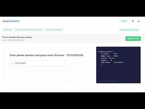 How to use Bulk Phone Number Lookup tool