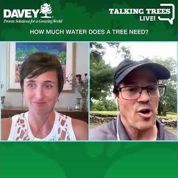 Tree Watering Tips: How Much Water Does a Tree Need